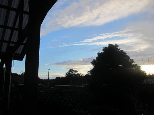 Saturday June 23 Back