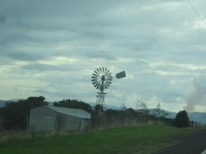 Windmill near Warragul