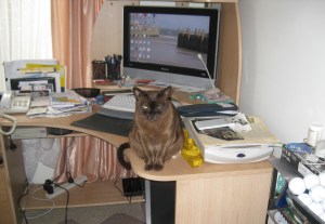 Little Miss Innocent!