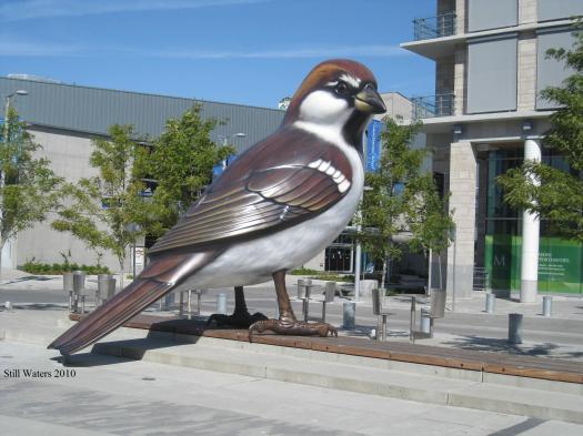 Big Birds Vancouver 2010