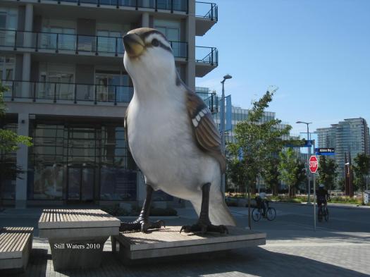 Bird Vancouver 2010