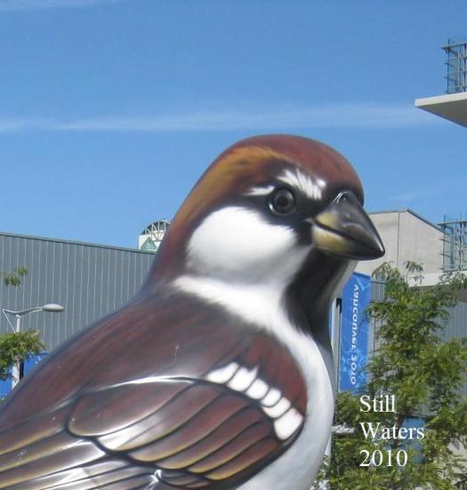 Large Bird Head Vancouver 2010