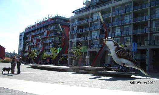 One of the birds 2010